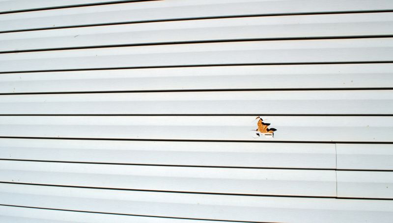 Damaged Vinyl Panel Replacement